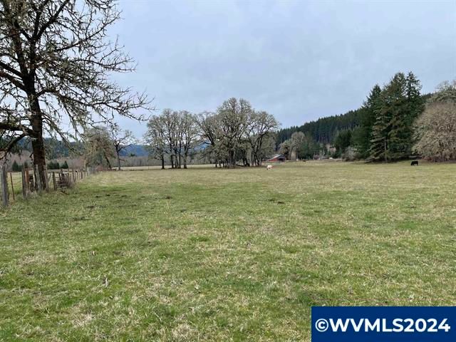 26140 Alsea-Deadwood (Adjacent, Unassigned) Hwy, Alsea, OR 97324