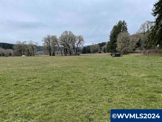 26140 Alsea-Deadwood (Adjacent, Unassigned) Hwy, Alsea, OR 97324