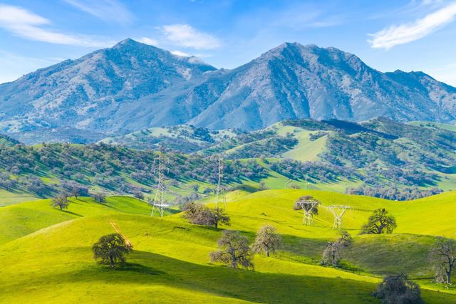 1989 Old Vine Pl, Brentwood, CA 94513