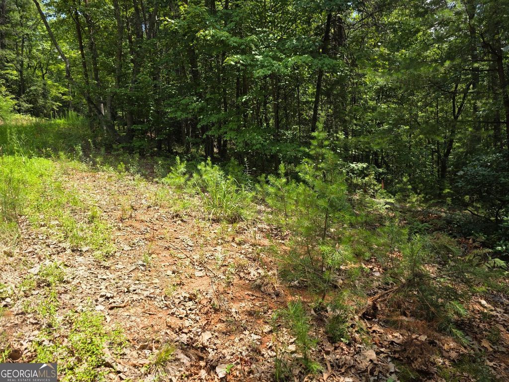 LOT 14 & 6 Bean creek, Sautee Nacoochee, GA 30571