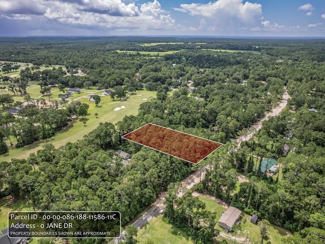 XX JANE Drive, Crawfordville, FL 32327