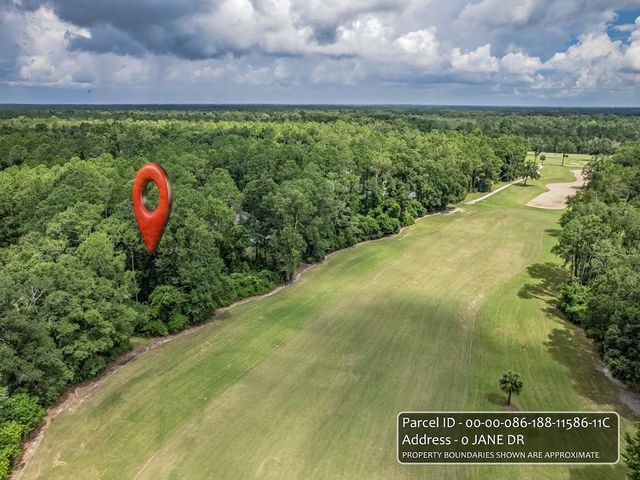 XX JANE Drive, Crawfordville, FL 32327