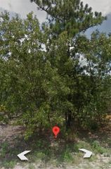 12 SPRING PLACE, Ocala, FL 34472