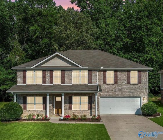 125 Grey Mare Street, Harvest, AL 35749