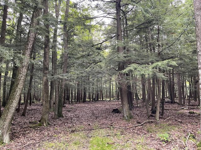 6860 Bay Shore DRIVE, Egg Harbor, WI 54209