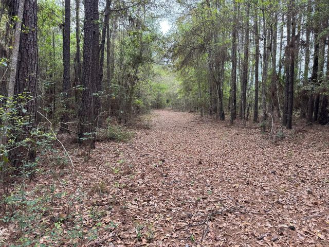 10586 Holland Road, Kountze, TX 77625