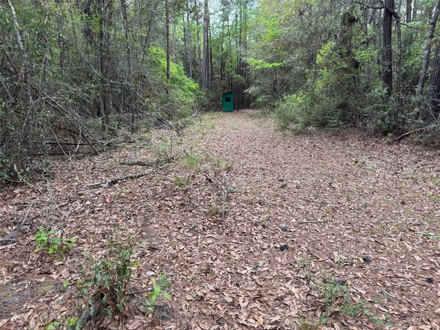 10586 Holland Road, Kountze, TX 77625