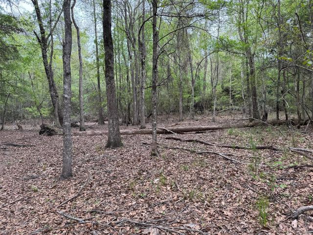 10586 Holland Road, Kountze, TX 77625