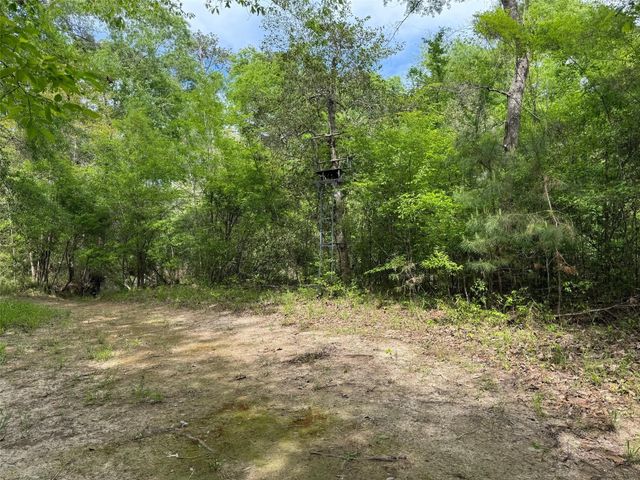 10586 Holland Road, Kountze, TX 77625