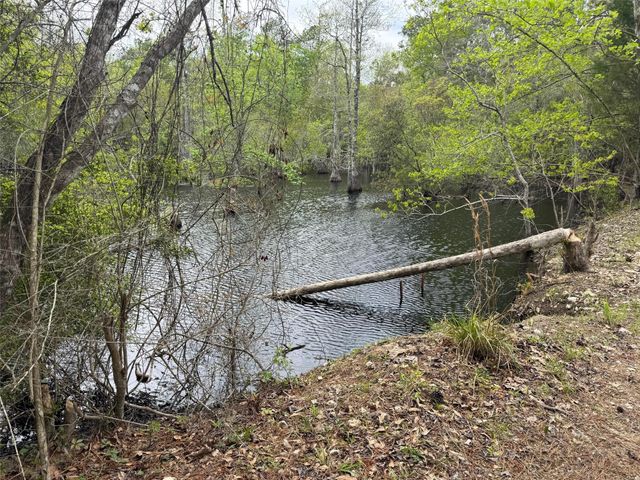 10586 Holland Road, Kountze, TX 77625