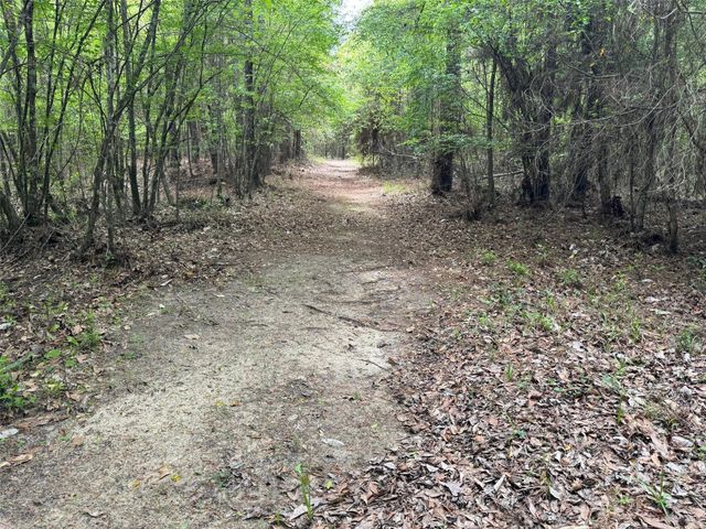 10586 Holland Road, Kountze, TX 77625