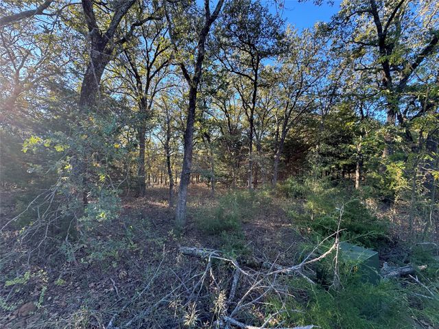 20 Timber Trail, Tioga, TX 76271