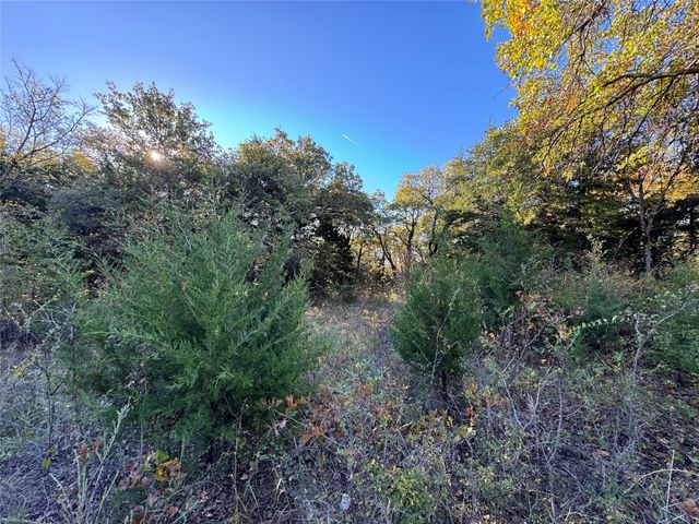 20 Timber Trail, Tioga, TX 76271