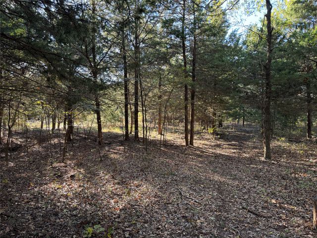 20 Timber Trail, Tioga, TX 76271