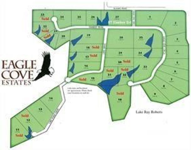 20 Timber Trail, Tioga, TX 76271