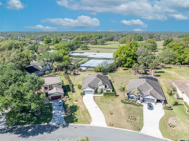 32049 STONE MEADOW COURT, Sorrento, FL 32776