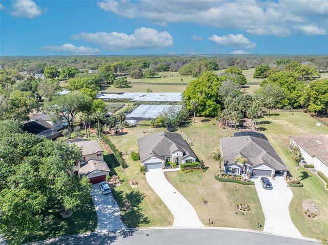 32049 STONE MEADOW COURT, Sorrento, FL 32776