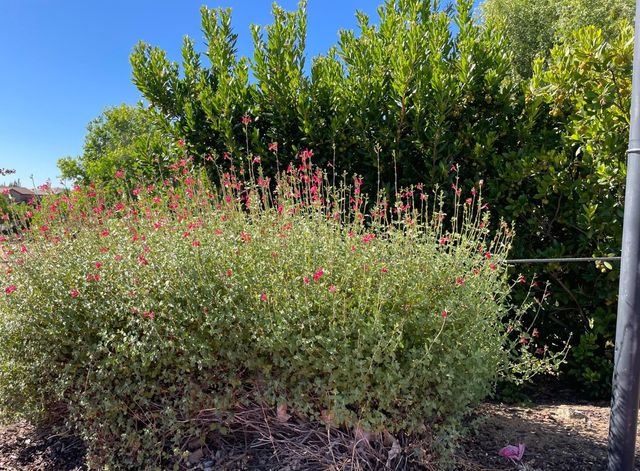 8162 Ryland Dr, El Dorado Hills, CA 95762