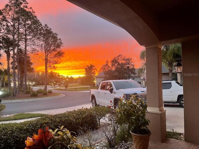 10503 PALM COVE AVENUE, Tampa, FL 33647