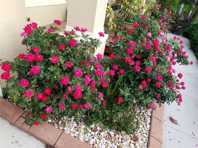 10503 PALM COVE AVENUE, Tampa, FL 33647