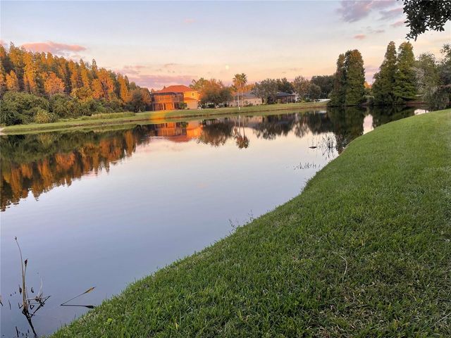 10503 PALM COVE AVENUE, Tampa, FL 33647