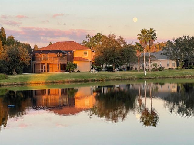 10503 PALM COVE AVENUE, Tampa, FL 33647