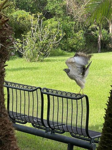 10503 PALM COVE AVENUE, Tampa, FL 33647