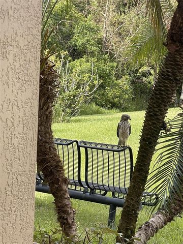 10503 PALM COVE AVENUE, Tampa, FL 33647