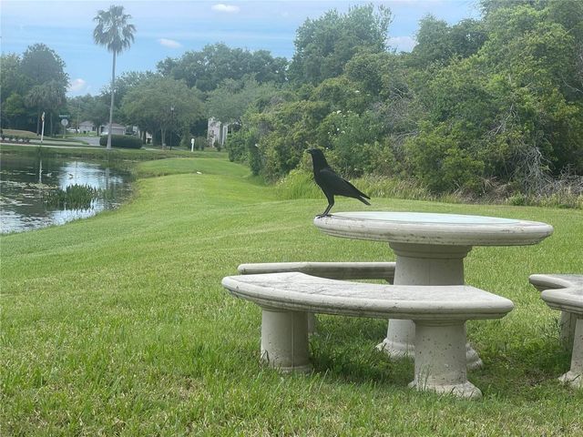 10503 PALM COVE AVENUE, Tampa, FL 33647