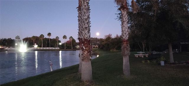 10503 PALM COVE AVENUE, Tampa, FL 33647