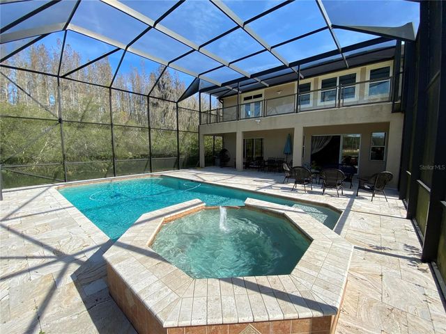 10503 PALM COVE AVENUE, Tampa, FL 33647