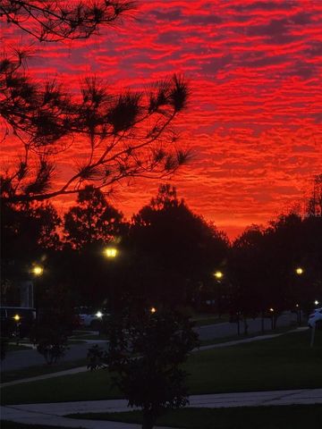 10503 PALM COVE AVENUE, Tampa, FL 33647