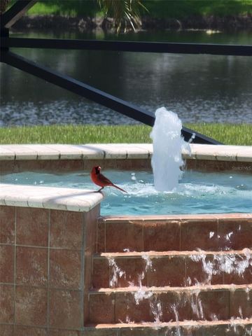 10503 PALM COVE AVENUE, Tampa, FL 33647