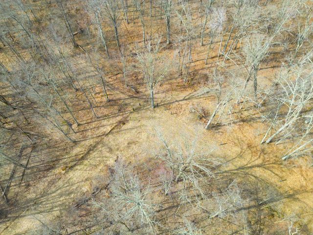 3298 Harbor Street, Isle, MN 56342