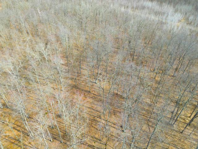 3298 Harbor Street, Isle, MN 56342