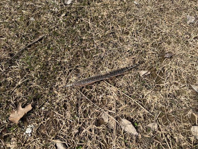 3298 Harbor Street, Isle, MN 56342