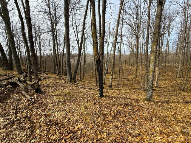 3298 Harbor Street, Isle, MN 56342