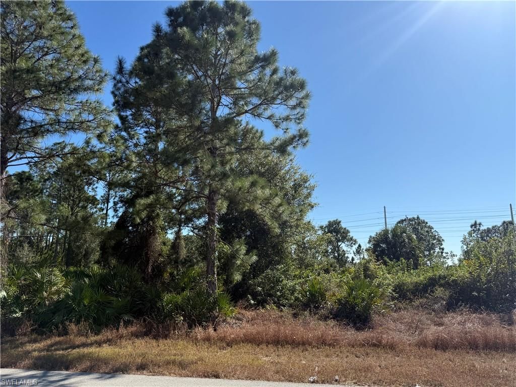 4303 33rd ST SW, LEHIGH ACRES, FL 33976 — photo 3
