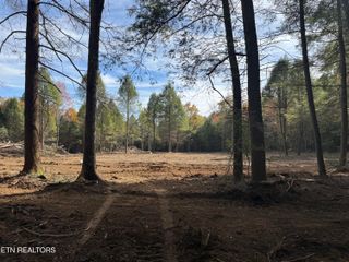 Newton Rd, Crossville, TN 38572