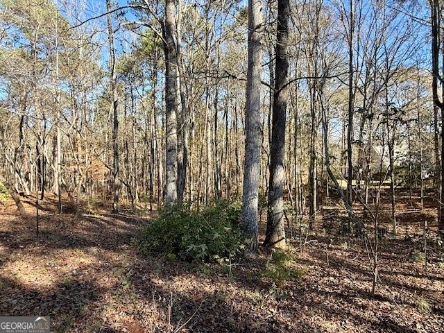 17 Chattahoochee Drive, Hogansville, GA 30230