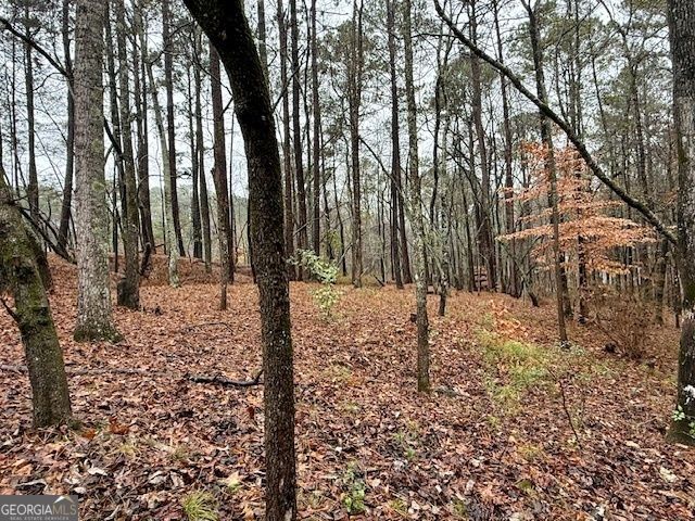 17 Chattahoochee Drive, Hogansville, GA 30230