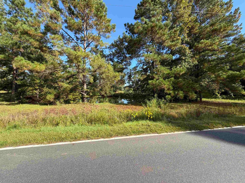 Tract 2 Wise Rd., Conway, SC 29526 — exterior