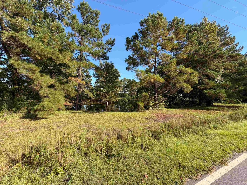 Tract 2 Wise Rd., Conway, SC 29526 — photo 2