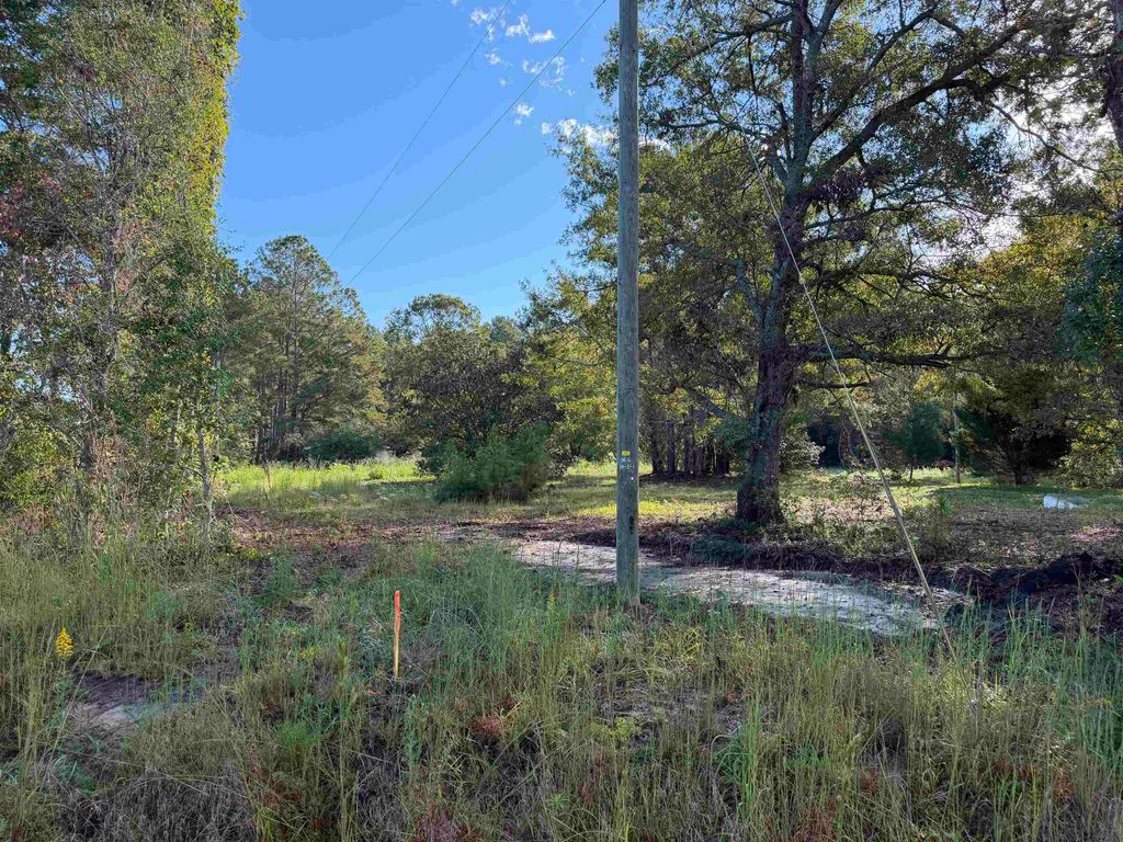 Tract 2 Wise Rd., Conway, SC 29526 — photo 3