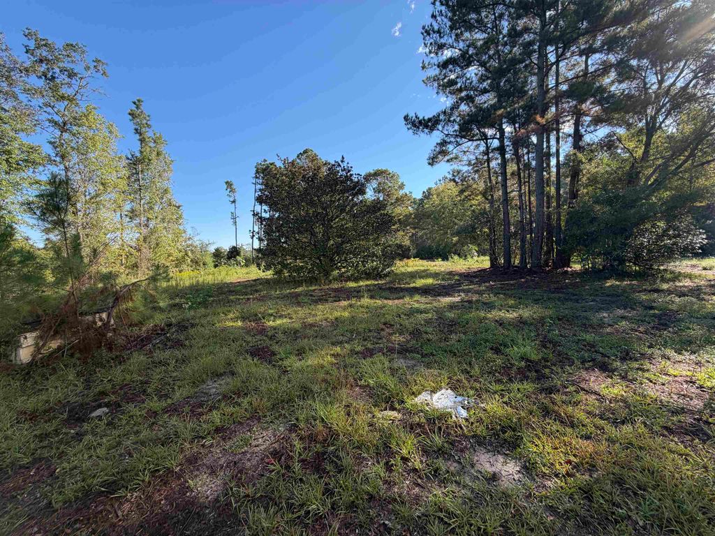Tract 2 Wise Rd., Conway, SC 29526 — photo 4