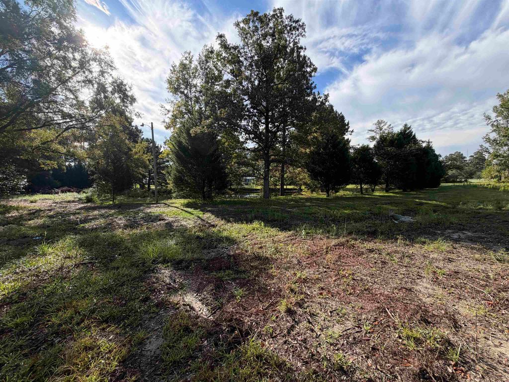 Tract 2 Wise Rd., Conway, SC 29526 — photo 5