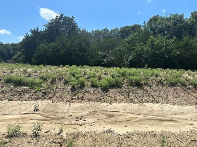 Lot 12 County Road 1110, Farmersville, TX 75442