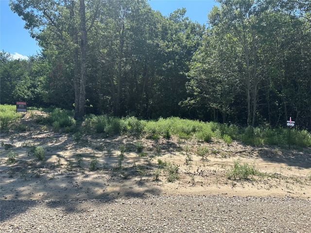 Lot 12 County Road 1110, Farmersville, TX 75442