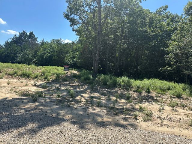 Lot 12 County Road 1110, Farmersville, TX 75442