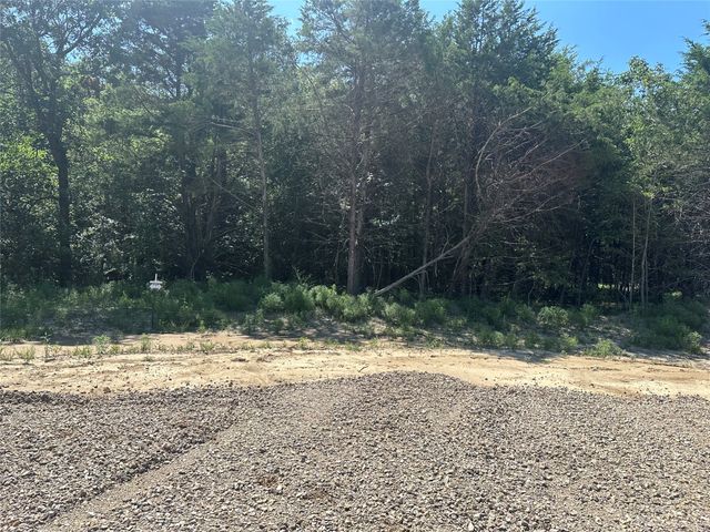 Lot 12 County Road 1110, Farmersville, TX 75442